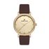 Ceas Daniel Klein Premium DK.1.12533.3