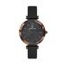 Ceas Daniel Klein Premium DK.1.12544.4