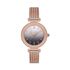 Ceas Freelook Eiffel FL.1.10133.1