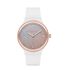 Ceas Freelook Eiffel FL.1.10185.2