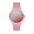 Ceas Freelook Eiffel FL.1.10185.2