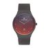 Ceas Daniel Klein Premium DK.1.12724.1