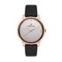 Ceas Daniel Klein Premium DK.1.12685.5