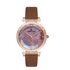 Ceas Daniel Klein Premium DK.1.12691.7
