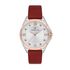 Ceas pentru dama, Daniel Klein Premium, DK.1.12720.2