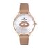 Ceas Daniel Klein Trendy DK.1.12700.3
