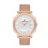 Ceas Daniel Klein Fiord DK.1.12748.4