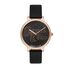 Ceas pentru dama, Daniel Klein Trendy, DK.1.12766.7