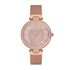 Ceas Freelook Lumiere FL.1.10153.2