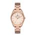 Ceas Daniel Klein Premium DK.1.12902.3
