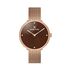 Ceas pentru dama, Daniel Klein Premium, DK.1.12980.5