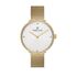 Ceas pentru dama, Daniel Klein Premium, DK.1.12980.6