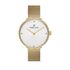 Ceas Daniel Klein Premium DK.1.12980.4