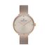 Ceas pentru dama, Daniel Klein Premium, DK.1.12980.5
