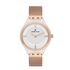 Ceas Daniel Klein Premium DK.1.12991.6