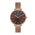 Ceas Daniel Klein Premium DK.1.13008.2