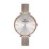 Ceas Daniel Klein Premium DK.1.13008.2