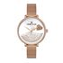 Ceas pentru dama, Daniel Klein Trendy, DK.1.12904.5
