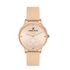 Ceas Daniel Klein Trendy DK.1.13023.4