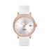 Ceas Sergio Tacchini Streamline ST.1.10209.1