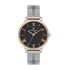 Ceas Daniel Klein Premium DK.1.13031.2