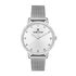 Ceas Daniel Klein Premium DK.1.13036.3