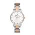 Ceas Daniel Klein Premium DK.1.13037.1