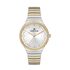 Ceas Daniel Klein Premium DK.1.13041.2
