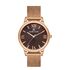 Ceas Daniel Klein Premium DK.1.13053.1