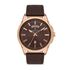 Ceas Daniel Klein Premium DK.1.13079.4