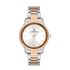 Ceas Daniel Klein Premium DK.1.13091.3