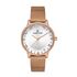Ceas pentru dama, Daniel Klein Premium, DK.1.13123.1