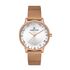 Ceas Daniel Klein Premium DK.1.13123.3