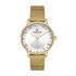 Ceas Daniel Klein Premium DK.1.13123.3