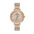 Ceas Daniel Klein Premium DK.1.13155.5