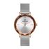 Ceas Daniel Klein Premium DK.1.13186.1