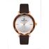 Ceas Daniel Klein Premium DK.1.13187.4