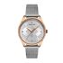 Ceas Daniel Klein Premium DK.1.13222.4