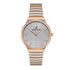 Ceas Daniel Klein Premium DK.1.13230.4