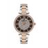 Ceas pentru dama, Daniel Klein Premium, DK.1.13241.6