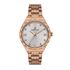 Ceas Daniel Klein Premium DK.1.13256.5