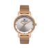 Ceas pentru dama, Daniel Klein Premium, DK.1.13406.6