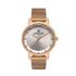 Ceas Daniel Klein Premium DK.1.13406.5