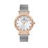 Ceas pentru dama, Daniel Klein Premium, DK.1.13416.4