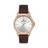 Ceas Daniel Klein Premium DK.1.13419.3