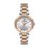 Ceas Daniel Klein Premium DK.1.13435.6