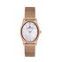 Ceas pentru dama, Daniel Klein Premium, DK.1.13436.6