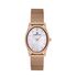 Ceas Daniel Klein Premium DK.1.13436.4