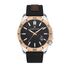 Ceas Daniel Klein Premium DK.1.13515.3