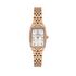 Ceas Daniel Klein Premium DK.1.13480.5